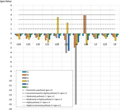 Polycyclic Aromatic Hydrocarbons and Potentially Toxic Elements in Soils of the Vicinity of the Bulgarian Antarctic Station “St. Kliment Ohridski” (Antarctic Peninsula)